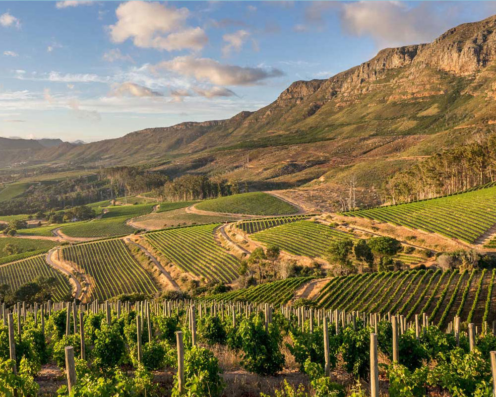Paarl